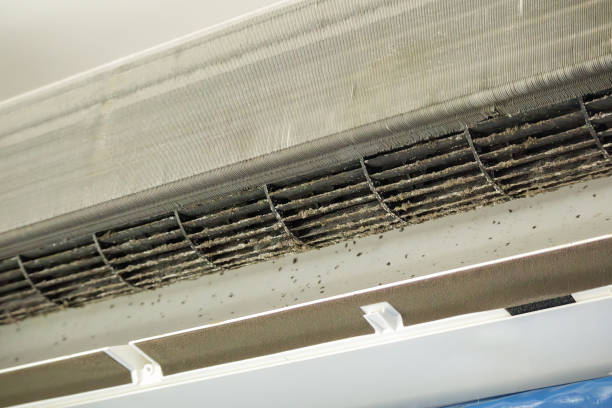 Best Emergency Air Duct Cleaning  in Miami Heights, OH